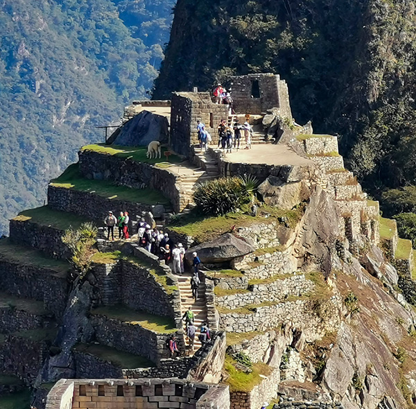 Explore Machu Picchu