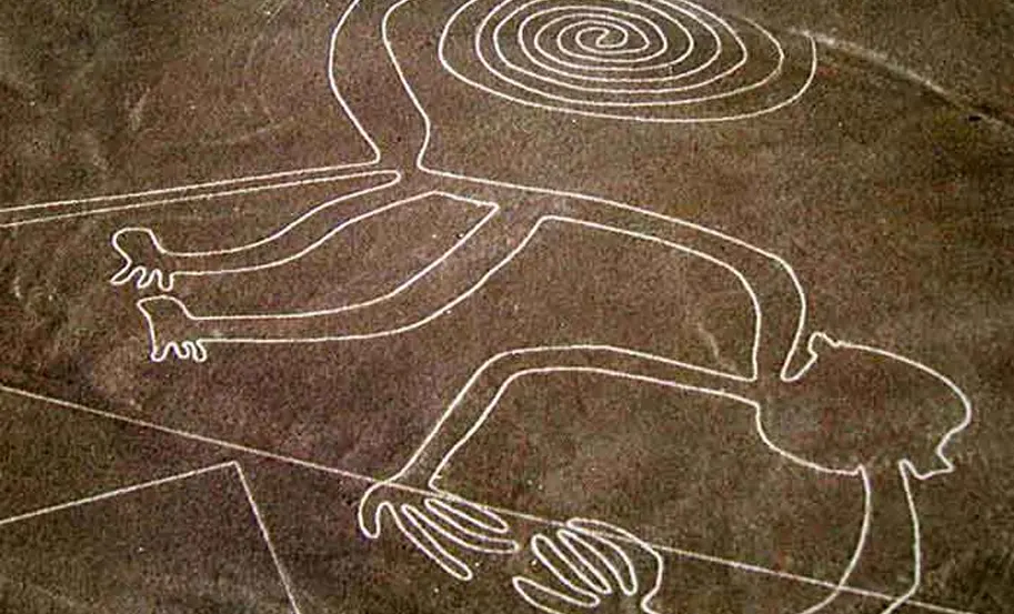 Nazca Lines 1 Day Tour