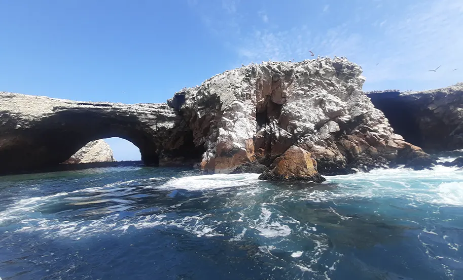 Paracas – Islas Ballestas – Huacachina – Full Day